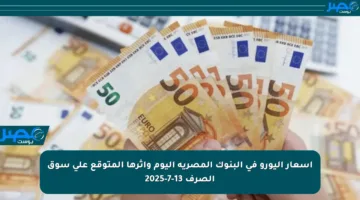أسعار اليورو في البنوك المصرية اليوم وأثرها المتوقع على سوق الصرف 13-7-2025